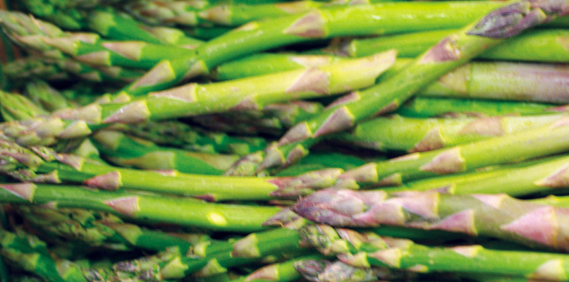 asperges asperges