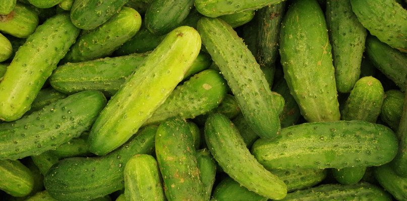 Cornichons Cornichons