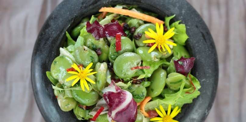 Recette salade de fèves fraîches