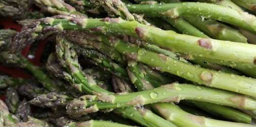 Des asperges vertes ? Venez vite ! Asperges vertes à cueillir !